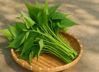 Superfood Forgotten: Purslane, Nature’s Beauty and Health Secret.