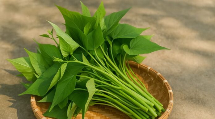Superfood Forgotten: Purslane, Nature’s Beauty and Health Secret.