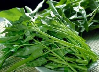 “A Word of Caution: Individuals With These 3 Conditions Should Approach Water Spinach With Care”