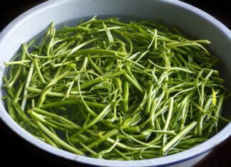 Garlic Stir-fried Water Spinach: A Chef’s Simple Trick for a Crispy Delight