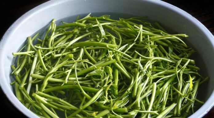 Garlic Stir-fried Water Spinach: A Chef’s Simple Trick for a Crispy Delight