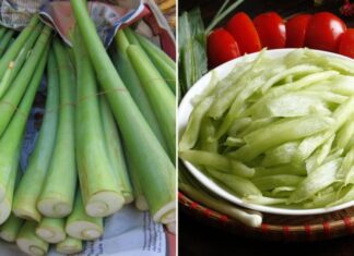 “Soak Bitter Melon in This Liquid to Prevent the Itch: A Tasty Crunch, Even When Cooked.”
