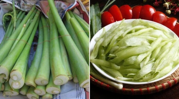 “Soak Bitter Melon in This Liquid to Prevent the Itch: A Tasty Crunch, Even When Cooked.”