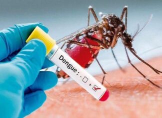 Dengue Fever Alert: An Unforeseen Epidemic, Uncontrollable and Unpredictable