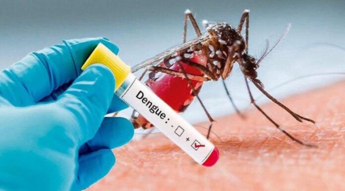 Dengue Fever Alert: An Unforeseen Epidemic, Uncontrollable and Unpredictable