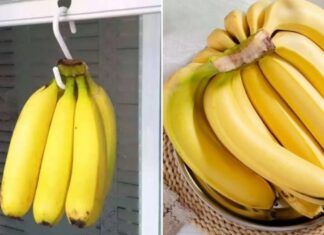 The Battle of the Bananas: Which Bend is Best?