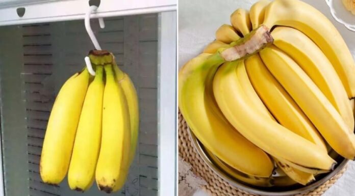 The Battle of the Bananas: Which Bend is Best?