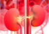 5 Warning Signs in the Evening That Signal Kidney Failure: Ignoring These Could Mean a Lifetime of Dialysis
