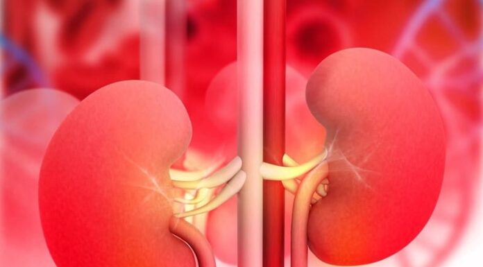 5 Warning Signs in the Evening That Signal Kidney Failure: Ignoring These Could Mean a Lifetime of Dialysis