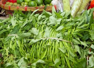 The Affordable Superfood in Season: 5 Reasons to Eat This ‘Everyday Ginseng’