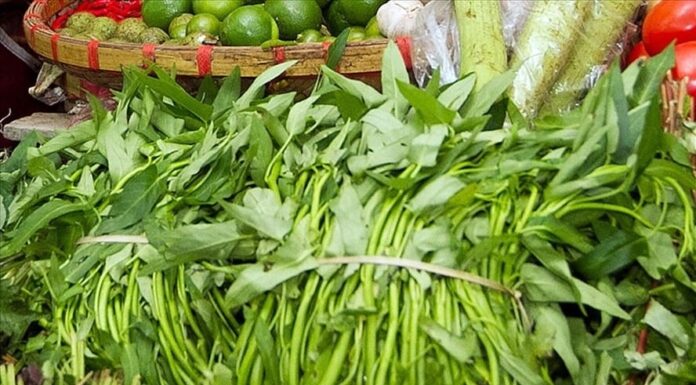 The Affordable Superfood: 5 Reasons to Eat This Vegetable Often