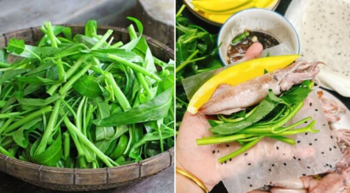 The Dangers of Eating Raw Water Spinach