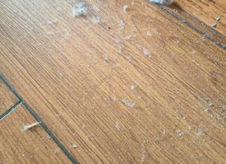 “Get Rid of That Fuzz: A Super-Clean Home is Just a Wipe Away”