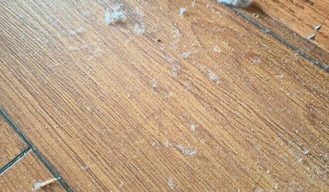 “Get Rid of That Fuzz: A Super-Clean Home is Just a Wipe Away”