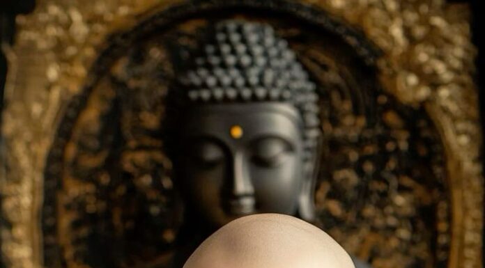 The Science of Luck: Ear Size and Intelligence, a 10-Second Fortune Teller