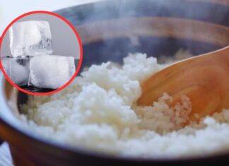 The Ultimate Rice Trick: Stone Magic for Perfectly Fluffy Grains