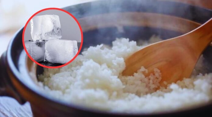 The Ultimate Rice Trick: Stone Magic for Perfectly Fluffy Grains