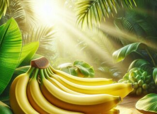 “Ripe Bananas: A Nutritional Powerhouse with Two Timing No-Go’s”