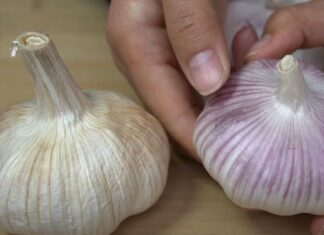 Which is Better, Purple or White Garlic? A Tasty Treat That Stays Fresh.