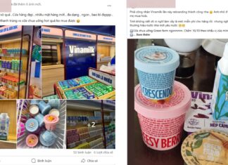 The Top 10 Dairy Brands in Vietnam: A Milk-Loving Nation’s Favorite Picks, Including 5 from Vinamilk’s Family