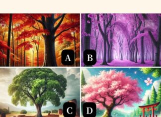 Title: Choose a Tree and Discover if They’re Worth a Lifetime Commitment