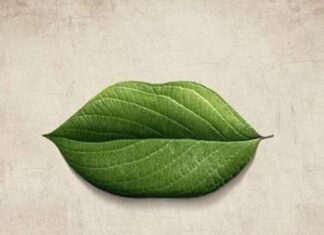 Uncover the Secrets of Your Mind: What Do You See in This Image at First Glance?