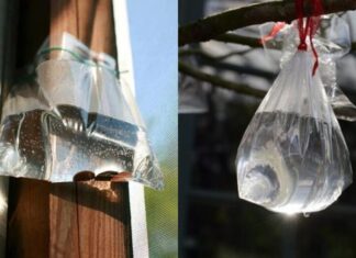 The Ultimate Summer Hack: Hanging Water Bags at Your Doorstep for a Refreshing Experience