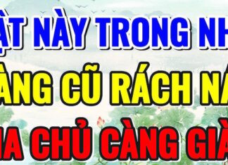 The Older, the Luckier: 3 Household Items to Cherish With Age