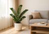 The Ultimate Guide to Summer Cooling: Harnessing the Power of Feng Shui Plants for a Relaxing Haven