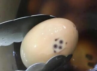 4 Types of Eggs That Are Harmful and Should Be Avoided