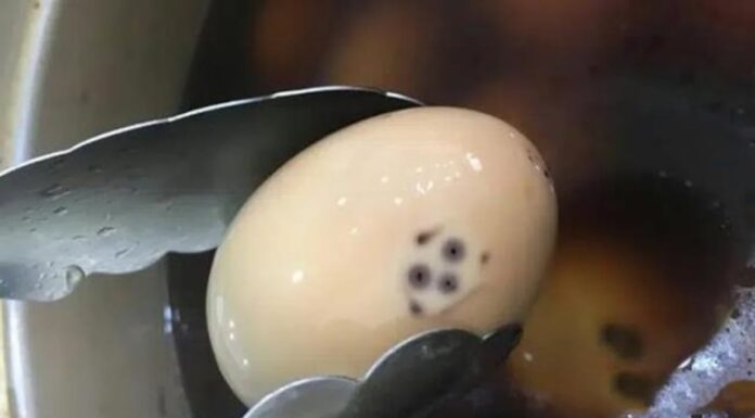 4 Types of Eggs That Are Harmful and Should Be Avoided