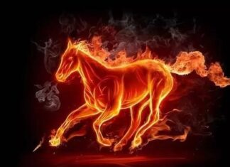 The Sun Will Always Shine: Overcoming Life’s Challenges in the Second Half of July 2025.