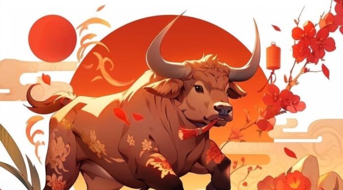 Destined by the Heavens: 3 Age Groups Poised for Prosperity in the Latter Half of the Year