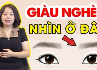 The Divine Sign: Turning Misfortune into Fortune, a Life Blessed by the Heavens