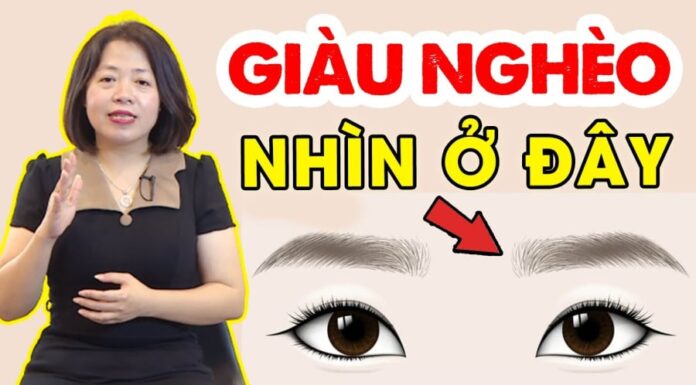 The Divine Sign: Turning Misfortune into Fortune, a Life Blessed by the Heavens