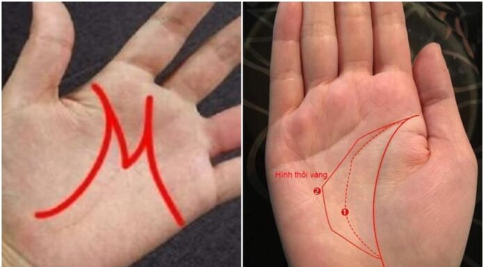 The Less You Know, the More You Have: Four Signs of Success on Your Palm