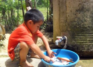 “A Summer of Misery: My Child’s Harrowing Rural Experience”