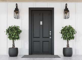 Place Houseplants in These 4 Spots: Purify Air, Attract Wealth, and Prosper