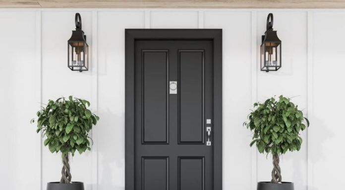 Place Houseplants in These 4 Spots: Purify Air, Attract Wealth, and Prosper