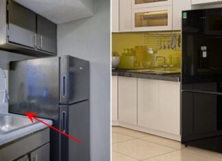 5 Places You Should Never Put Your Fridge if You Want to Attract Wealth and Prosperity