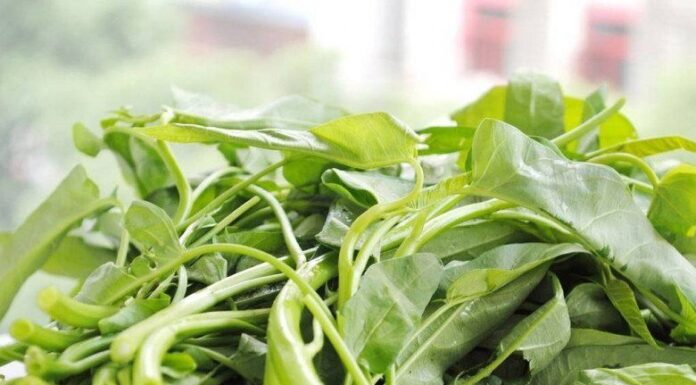 Stir-frying Water Spinach: The Secret to Crisp and Tasty Greens