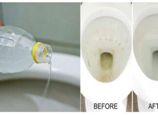 The Stinky Bathroom: Pour This Magic Potion to Eliminate Odors Instantly and Affordably