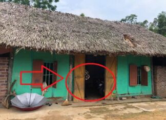 The Feng Shui Master’s Warning: 5 Home Styles That Attract Poverty, Not Wealth