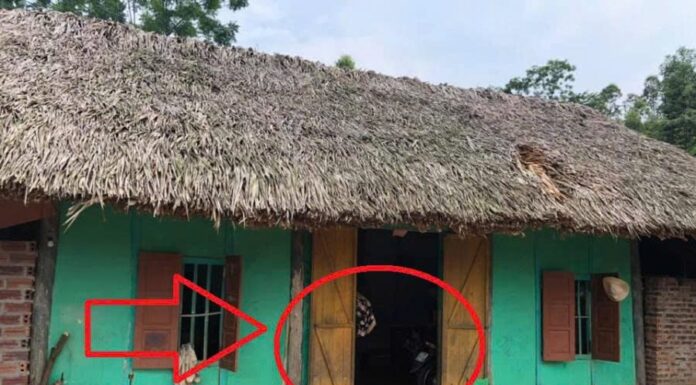 The Feng Shui Master’s Warning: 5 Home Styles That Attract Poverty, Not Wealth