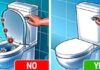 Should You Leave the Toilet Lid Up or Down After Use? The Right Way to Avoid Embarrassing Toilet Odor.