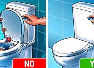 Should You Leave the Toilet Lid Up or Down After Use? The Right Way to Avoid Embarrassing Toilet Odor.