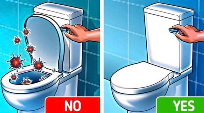 Should You Leave the Toilet Lid Up or Down After Use? The Right Way to Avoid Embarrassing Toilet Odor.