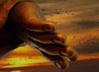 5 Ancestral Karmic Debts That Can Affect Your Descendants: Financial Struggles, Endless Lawsuits, and the Obstacles to Wealth