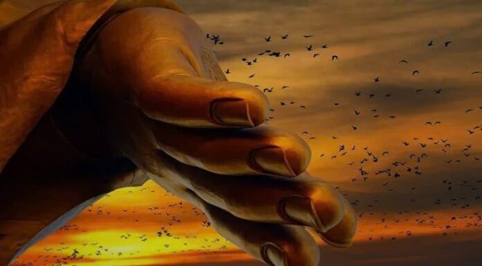 5 Ancestral Karmic Debts That Can Affect Your Descendants: Financial Struggles, Endless Lawsuits, and the Obstacles to Wealth