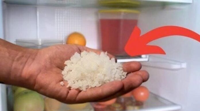The Magic of a Salt Packet in Your Fridge: A Household Essential